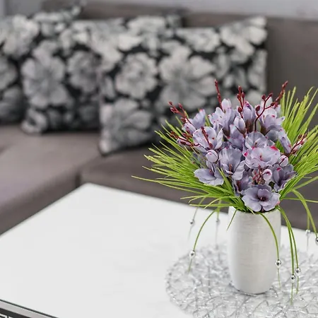 - A Brand New Luxury & Comfy 2 *